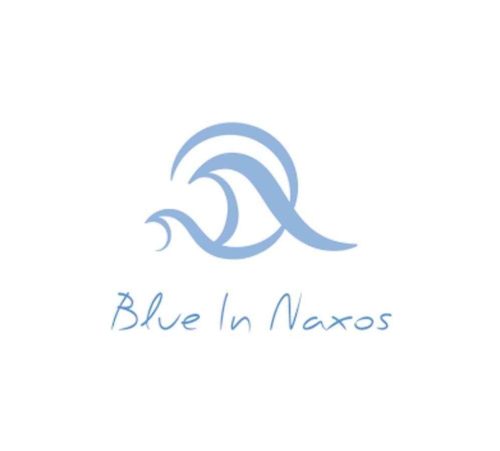 فندق Blue In Naxos Naxos City المظهر الخارجي الصورة